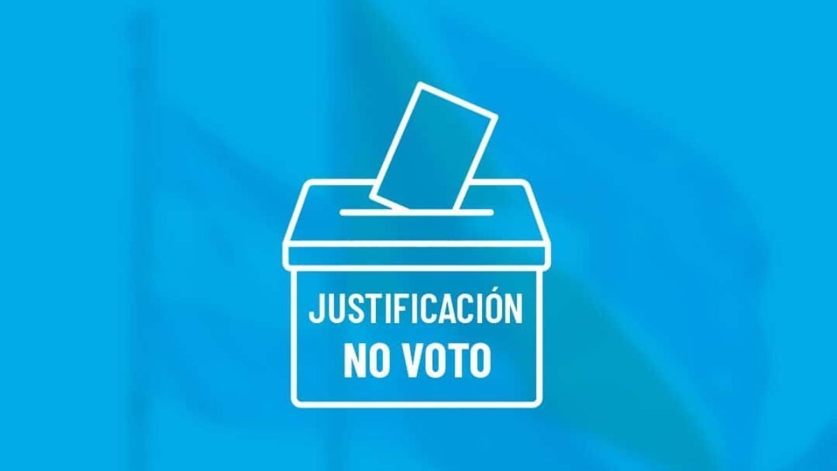 Enterate cómo se puede justificar la no emisión del voto en Tierra del Fuego