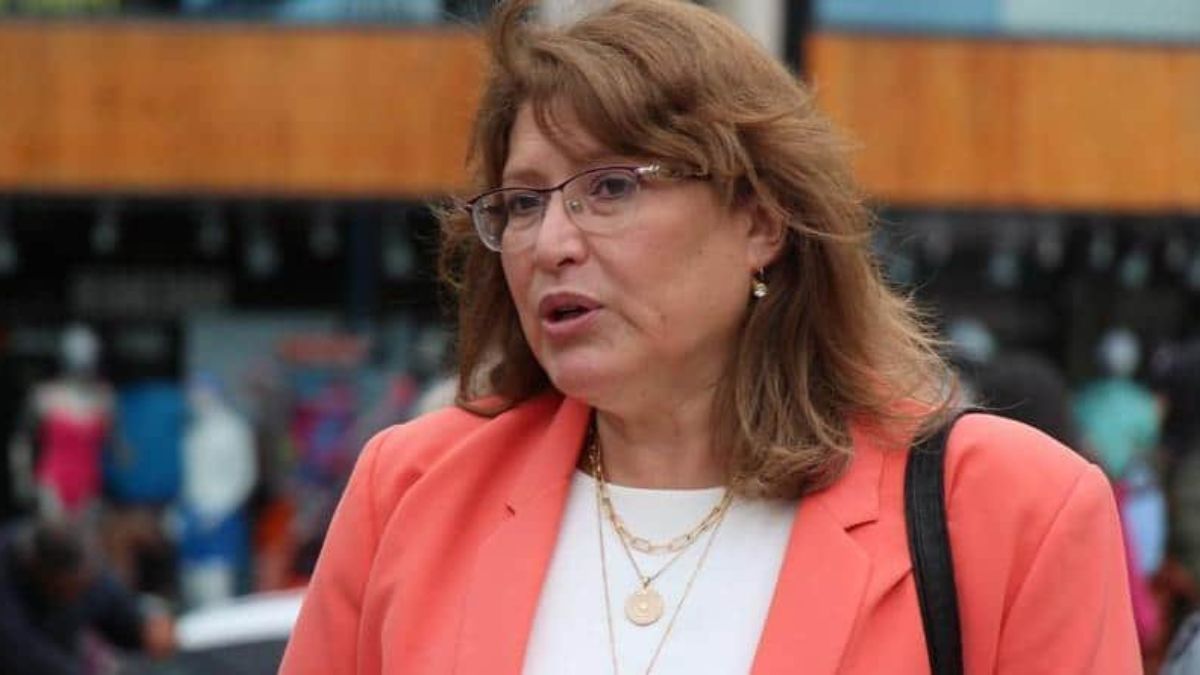 “No fracasó la Ley, sino el escenario económico, que no fue el esperado”
