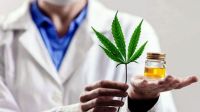 “Hoy hay unos 8000 pacientes de cannabis con REPROCAN”, dijo Mora