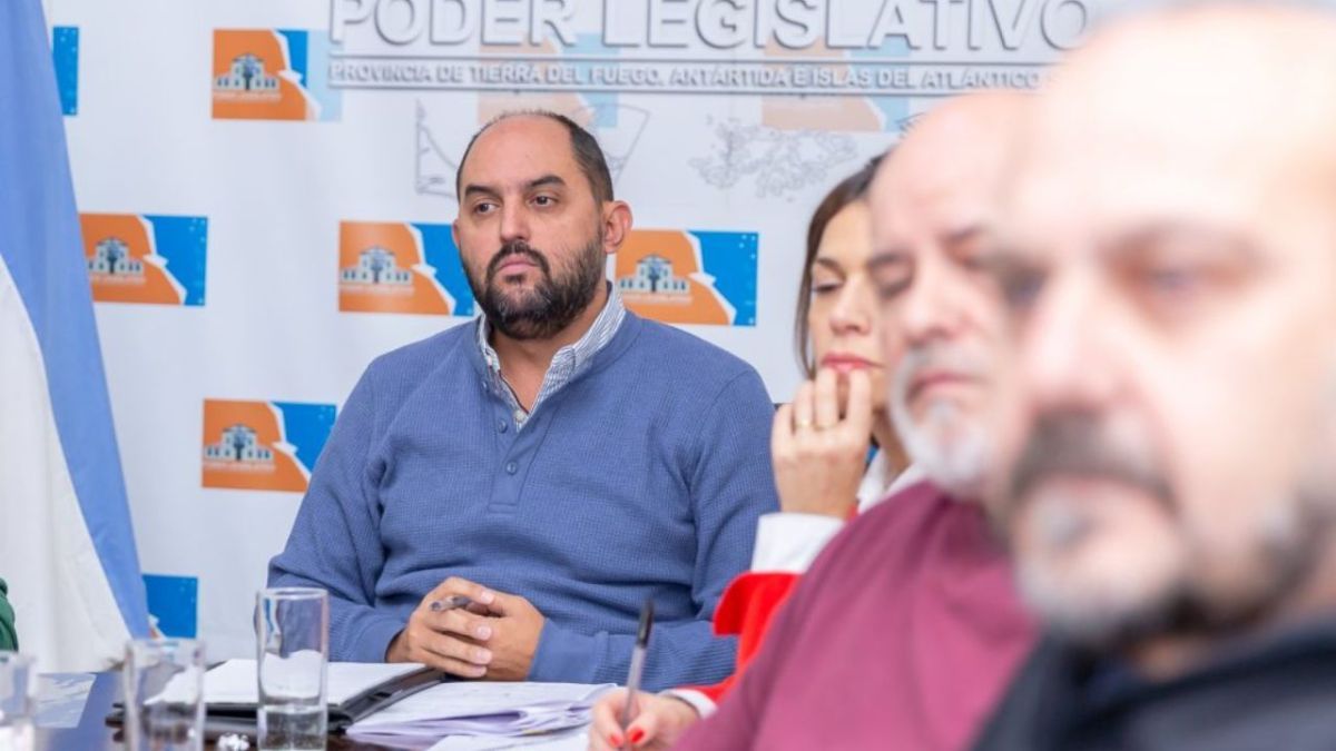 “Existe consenso para crear el Consejo de Obras Sociales y Prepagas”, afirmó Greve