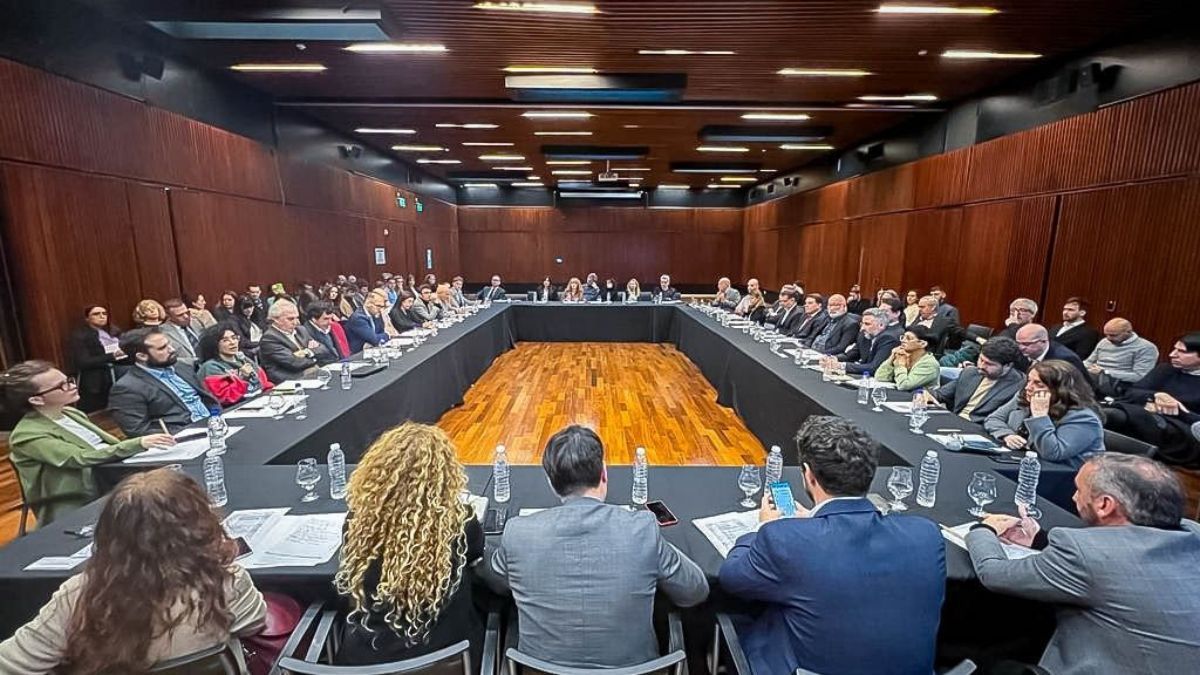 Tierra del Fuego participó en la primera reunión del Consejo Federal de ARICCAME