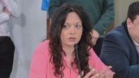"Presenté la declaración de emergencia habitacional en Ushuaia", afirmó Avila