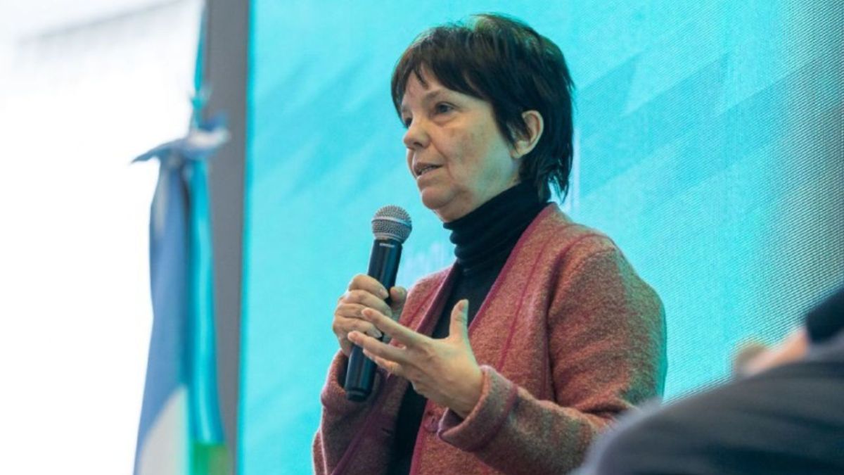 "Necesitamos decisión política y la presencia del Estado", manifestó Marcó del Pont