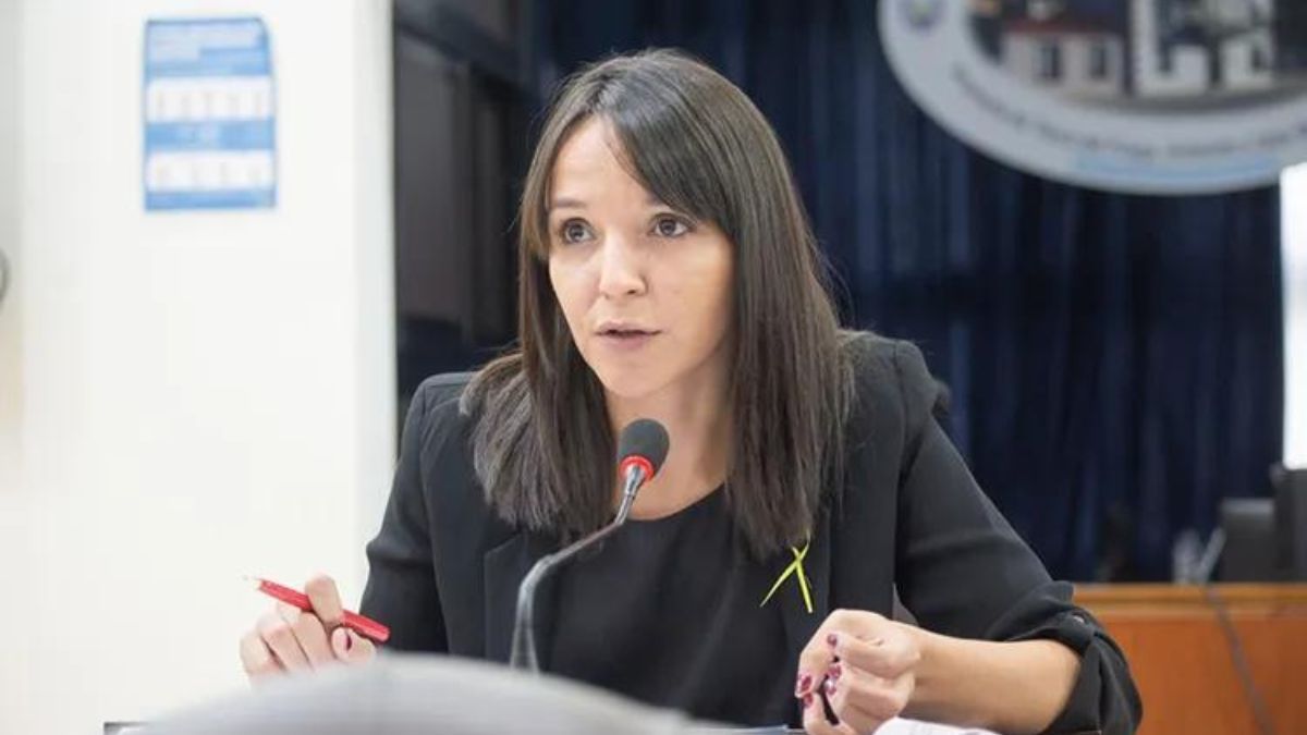 “Se cometieron excesos en los incrementos”, aseguró Vuoto