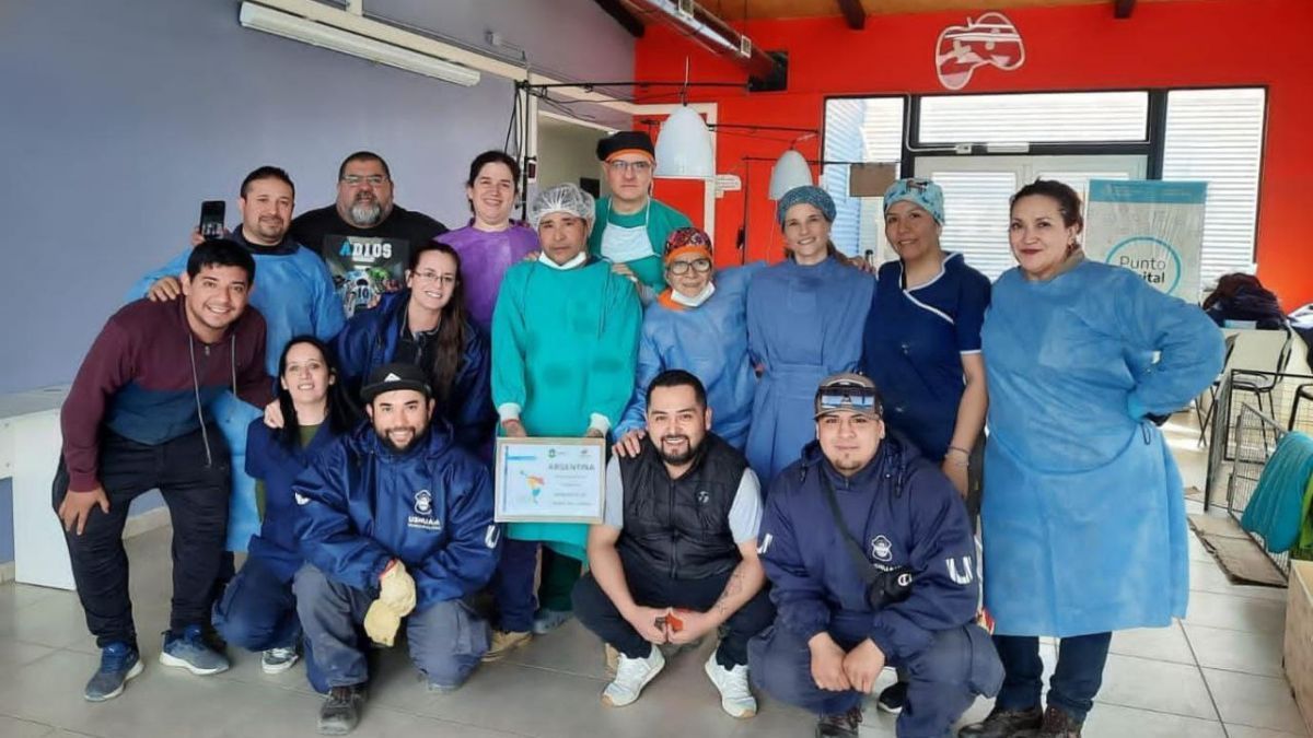 La Municipalidad de Ushuaia participó de las jornadas de castración masiva en América Latina