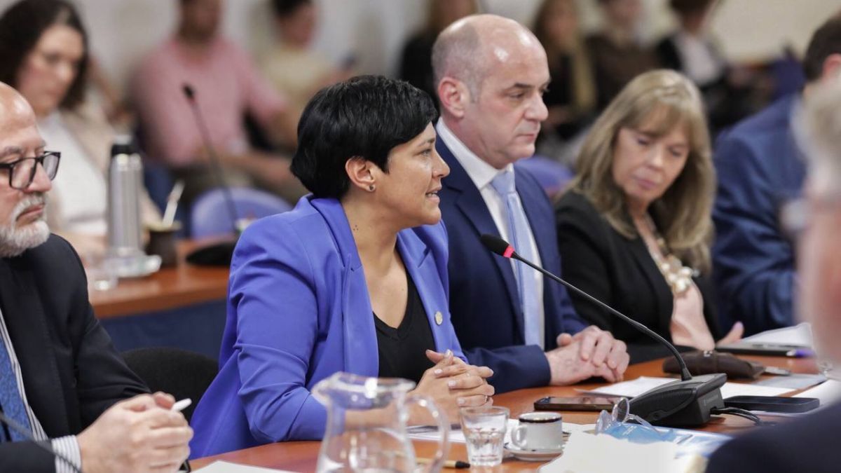 Cubino denfendió el proyecto de Ley de Financiamiento Educativo en la Cámara de Diputados