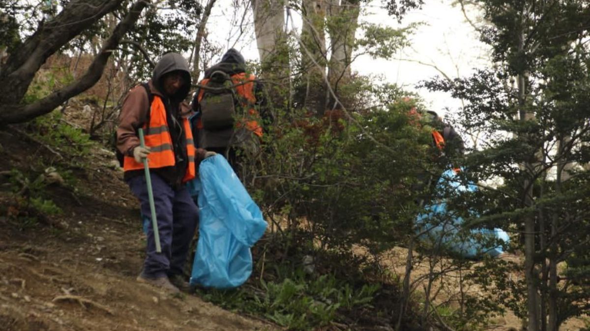 Se llevó a cabo una importante jornada de recolección de residuos voluminosos