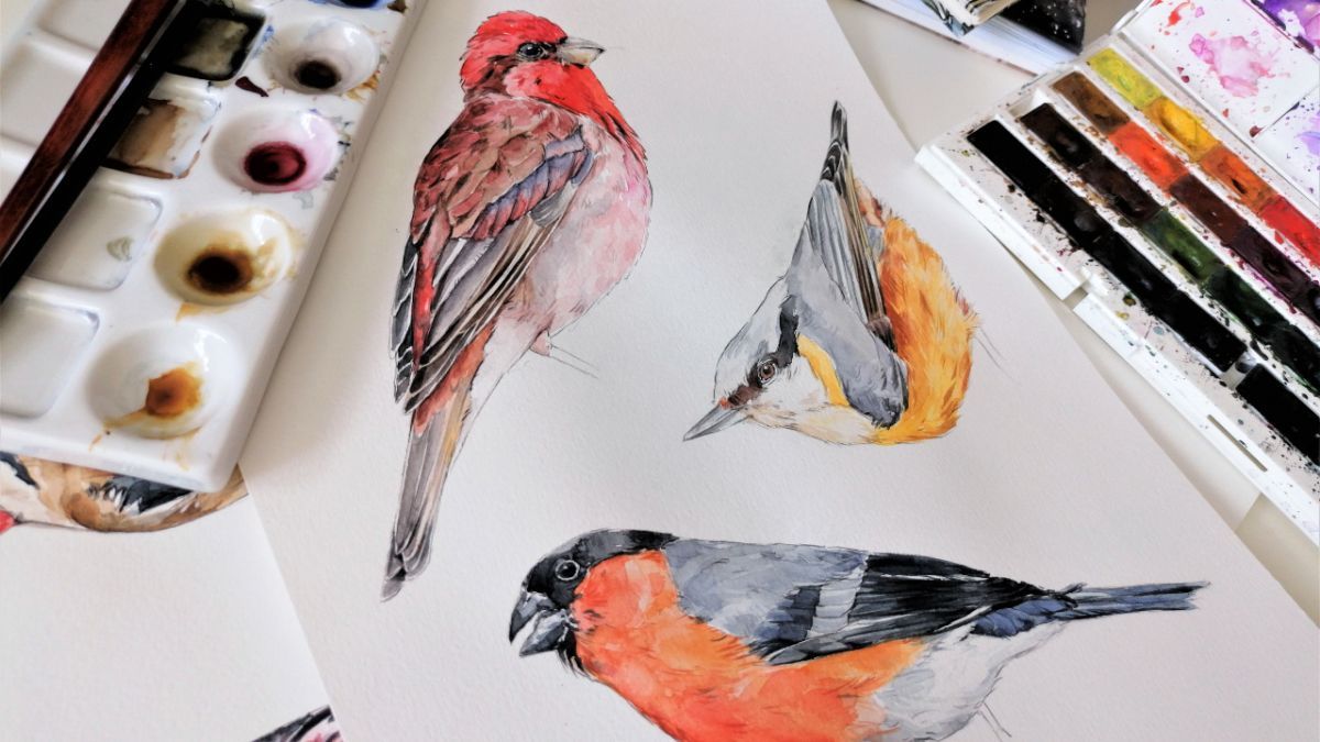 Últimos días para participar del concurso “Trazando a las Aves Migratorias” 