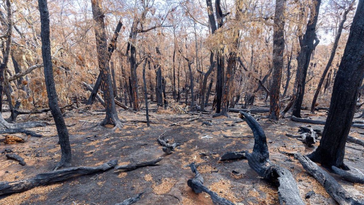 “Al hacer fuego, además de violar la ley, se ponen en riesgo los recursos humanos; naturales y materiales"