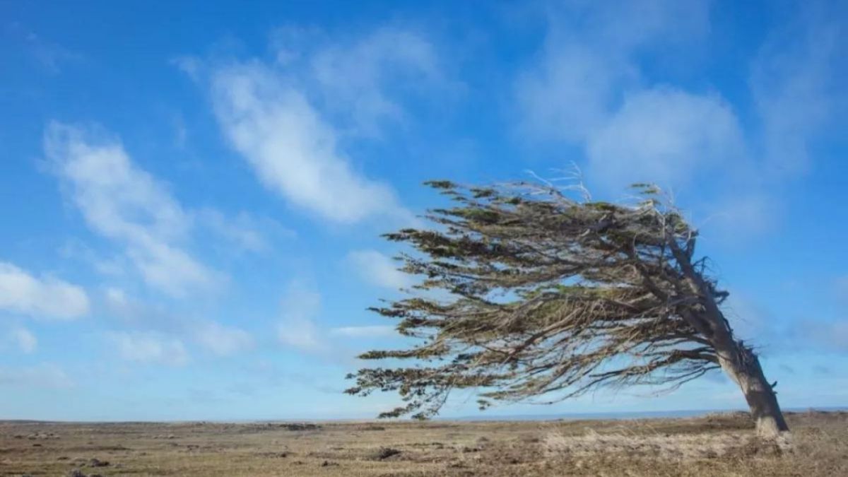 Emiten alerta naranja por fuertes vientos para este miércoles 