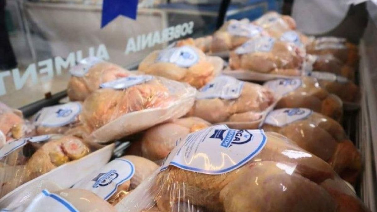 Durante el fin de semana se venderán pollos frescos y de producción