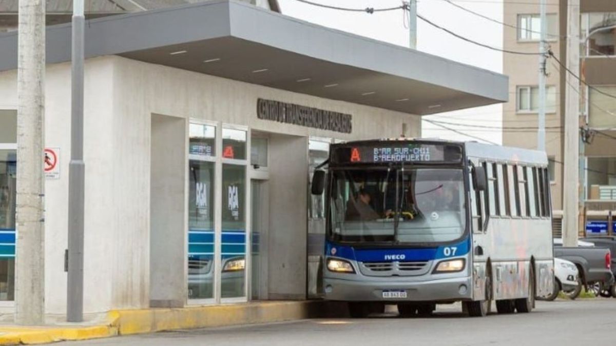 Ya se habilitó el pago del colectivo a través de la aplicación “Sube Digital”