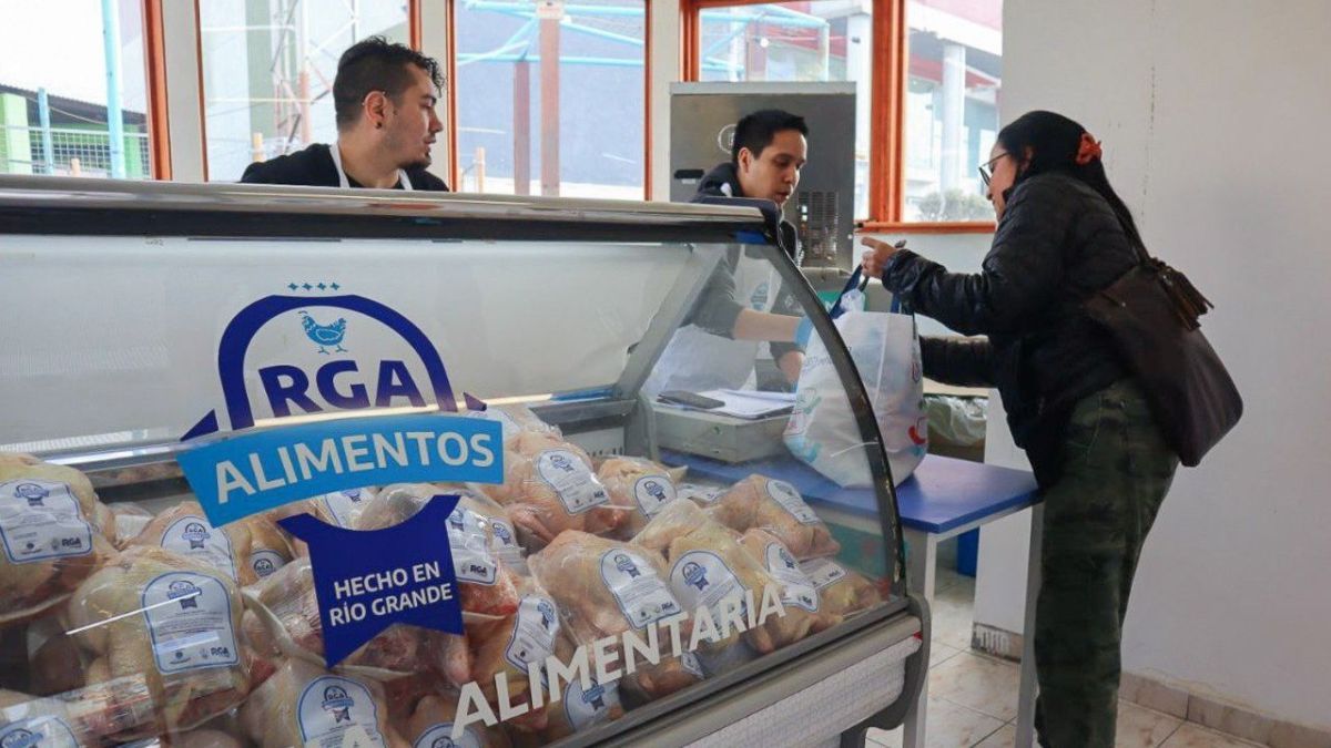 Se podrán adquirir los pollos de producción local en el paseo “Canto del Viento”