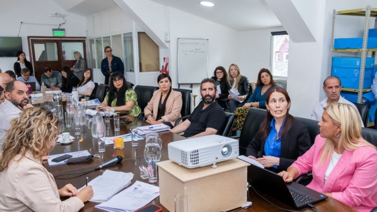  La OSEF describió la actualidad de la institución en la Comisión de Economía