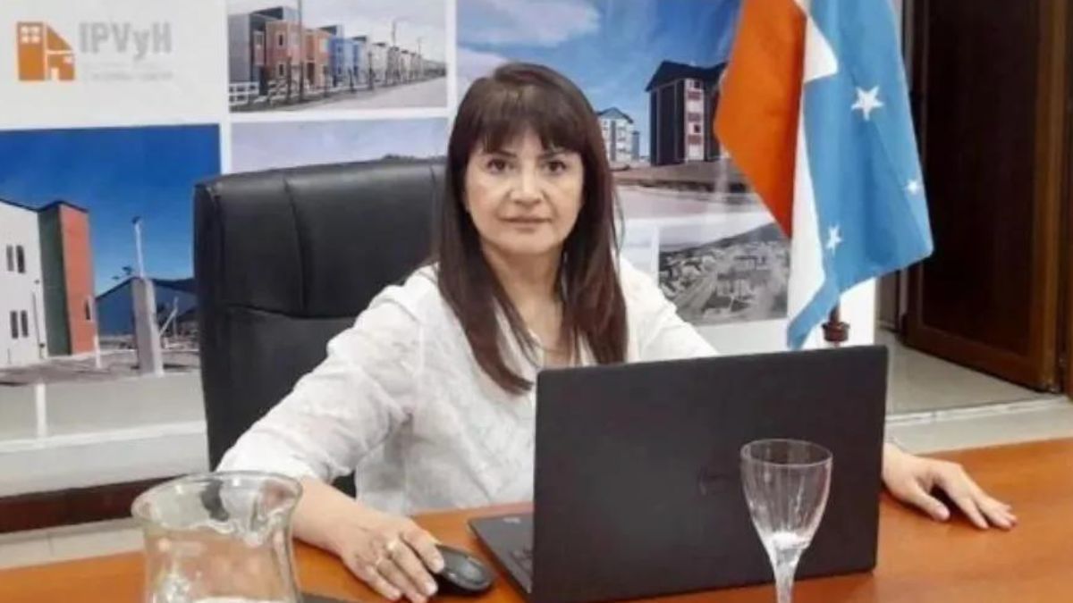 "Seríamos como una inmobiliaria con un enfoque mucho más social", dijo Montes
