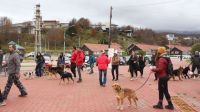 El Municipio acompañó la “Caninata” organizada por Amigos del Reino Animal Fueguino