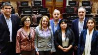 Senadoras y senadores de Unión por la Patria piden a sus pares patagónicos oponerse a la Ley Bases y el Paquete Fiscal