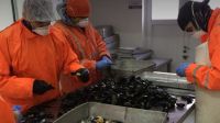 Finaliza el curso sobre procesamiento de productos de mar en Ushuaia