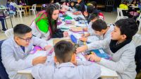 Más de 500 niños participarán de la etapa final de las Olimpíadas de Matemáticas Newsan