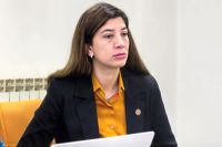 “Las desregulaciones para la importación siempre entran en competencia con la industria local”