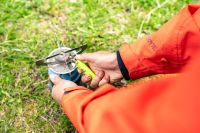 Recomendaciones para la prevención de incendios forestales en Tierra del Fuego