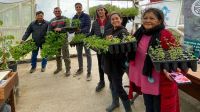 Estiman entregar más de 1.800.000 plantines de verduras esta temporada