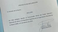 “Milei es un terraplanista que quiere llevar a la Argentina a una catástrofe de la salud pública”