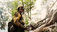 Tierra del Fuego envía brigadistas para combatir incendios en el Parque Nacional Nahuel Huapi