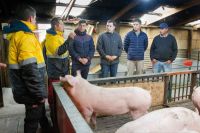 Funcionarios municipales de Río Grande visitaron a los productores de "Granja Porcina" y "Las Niñitas Alvarado"