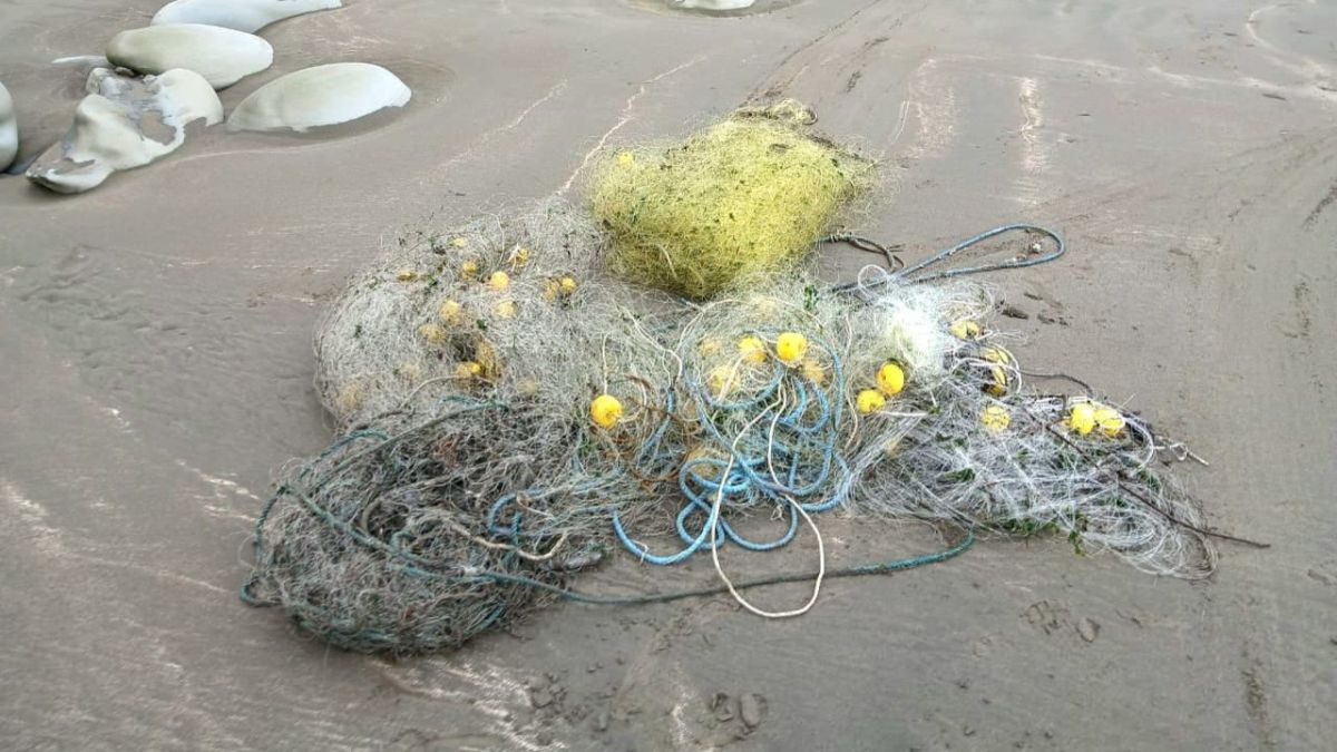 La Secretaría de Pesca y Acuicultura decomisó redes de pesca 