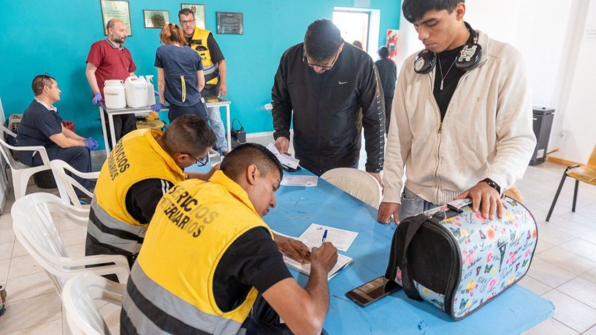 Se realizará una nueva jornada de vacunación, chipeo y adopción de mascotas en el B° AGP