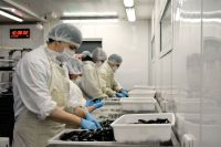 “A nivel económico simboliza la apertura de un nuevo canal de comercialización", dijo Fernández