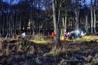 Noche más Larga 2025: Se llevó adelante una caminata nocturna en el Jardín Botánico