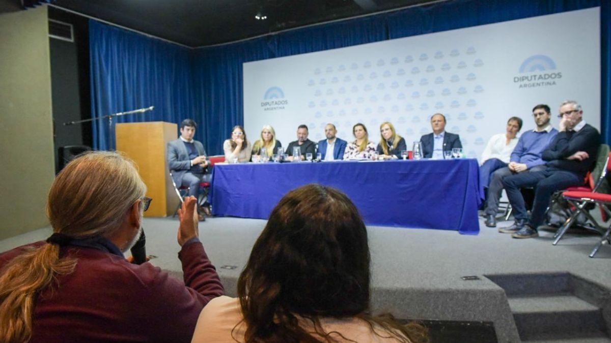 Congreso Nacional de Salud Mental: piden declarar el "alerta sanitaria federal"