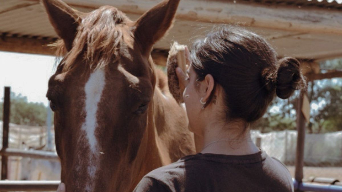 Se creó el Observatorio Jurídico para la Protección de los Animales No Humanos