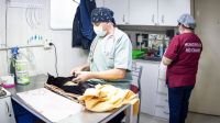 Continúa disponible el servicio veterinario de castración del Municipio de Río Grande 