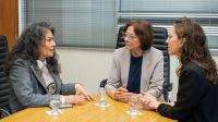 Reunión de trabajo entre la Secretaría de la Mujer, el Superior Tribunal de Justicia y el MESECVI