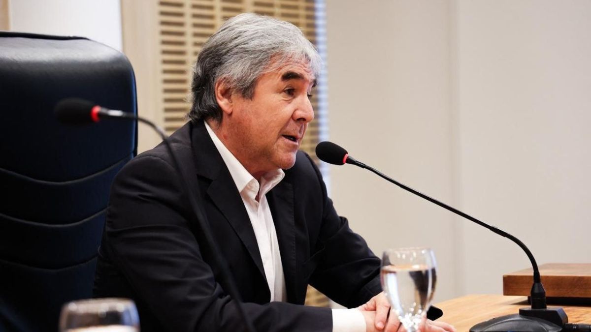 “Cualquier acto de tortura es un fracaso social”, advirtió Irrazabal