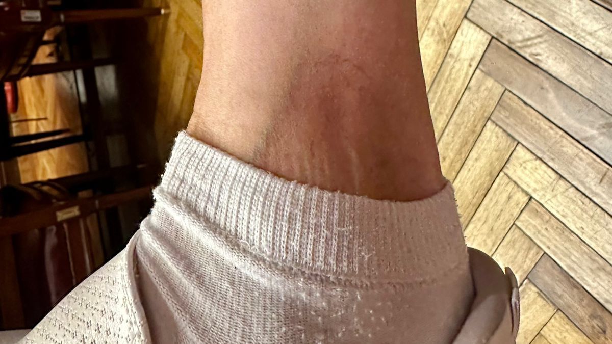 La senadora López presentó una denuncia penal por lesiones, amenazas y agresiones contra personal de seguridad del Senado