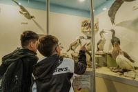 Conocé la serie de actividades que impulsa el Museo del Fin del Mundo