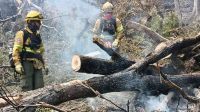Tierra del Fuego envió brigadistas para combatir el incendio en el Parque Nacional Los Alerces