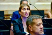 "No va a resolver el problema de la inseguridad y solo va a profundizar la exclusión social”