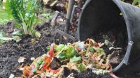 Lanzan la 13ª edición del Mes del Compostaje con la consigna “Más compost, menos basura”