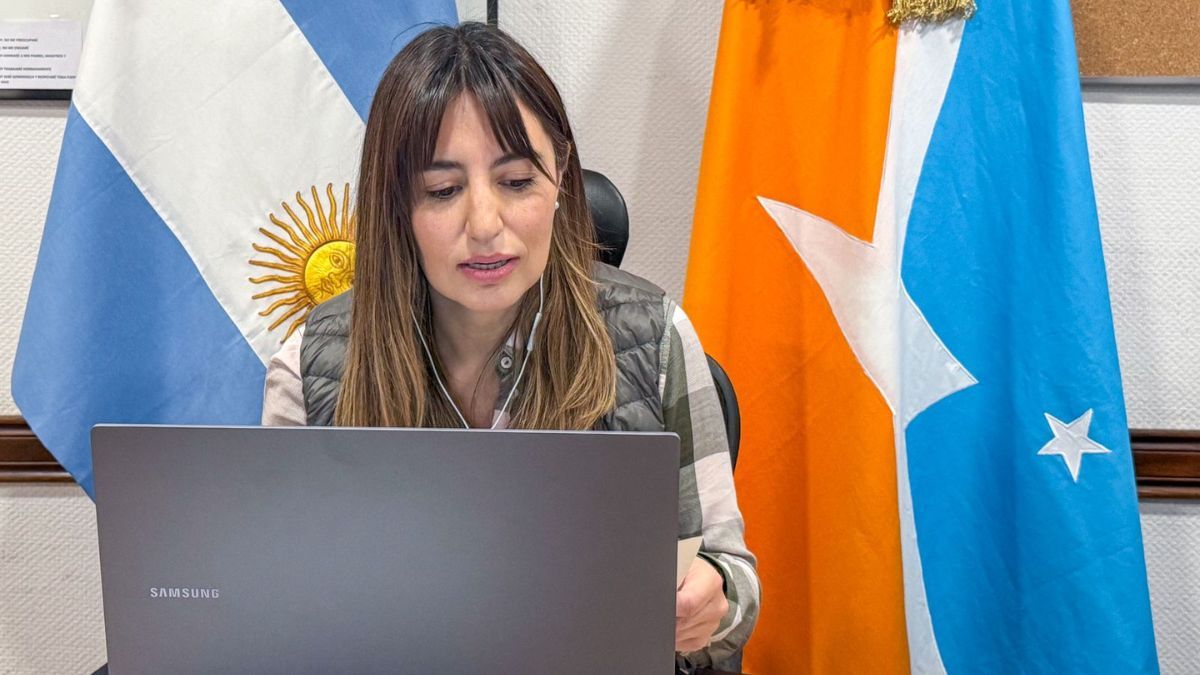 “Más de 100 mil personas se inscribieron y ni ayer ni hoy pudieron poner su voz"