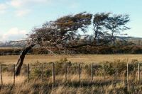 El Servicio Meteorológico Nacional emitió una alerta amarilla por vientos intensos en toda la provincia 