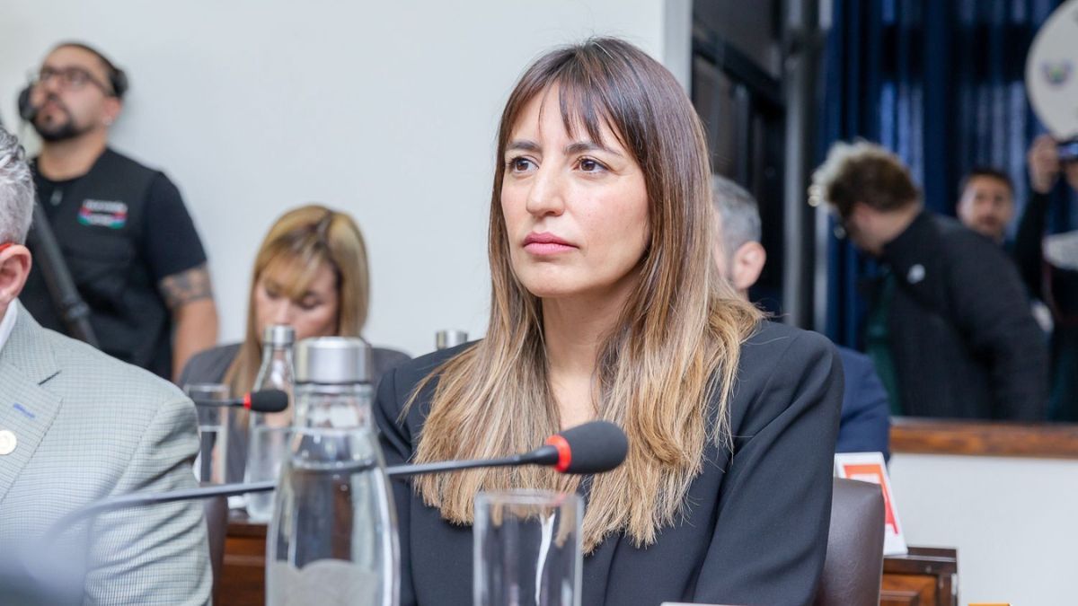 "Su modificación implica una clara regresión ambiental y un retroceso en derechos ambientales ya conquistados”