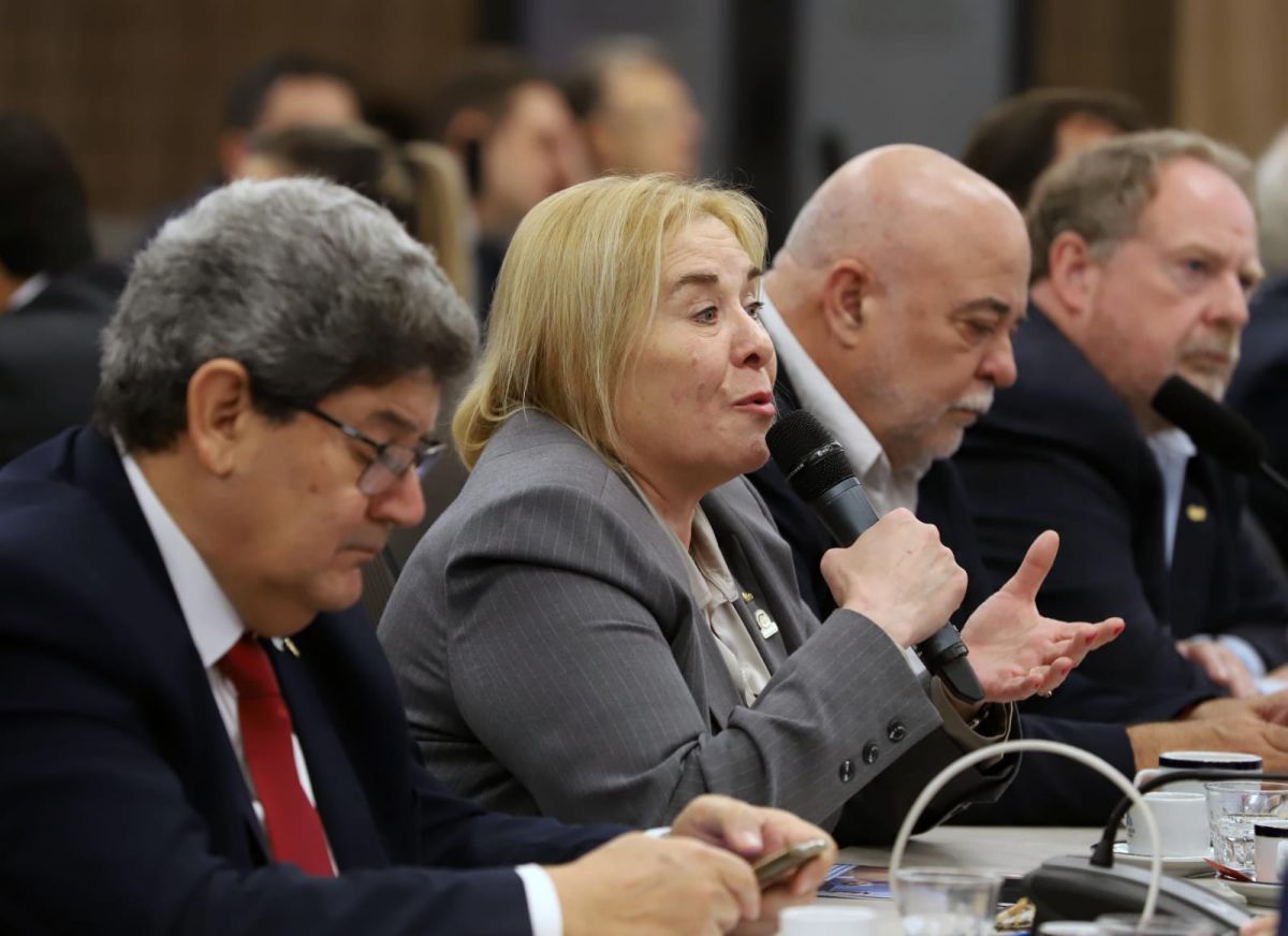 “Por primera vez las comisiones de PyMEs y Comercio del Congreso trabajaron de manera conjunta con CAME"