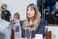 Colazo pidió convocar a la Secretaria de Industria para analizar el Régimen de Aduana Factoría