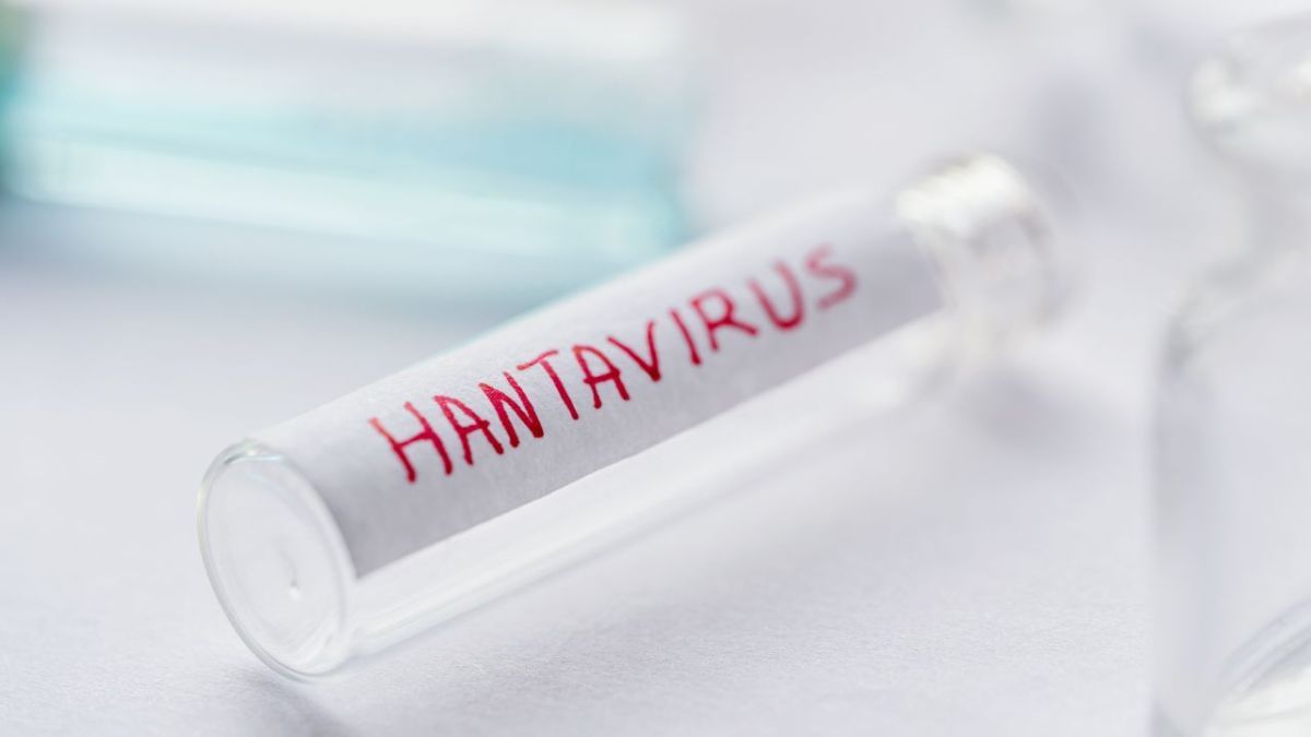 “Tierra del Fuego no presenta circulación de hantavirus”