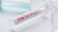 “Tierra del Fuego no presenta circulación de hantavirus”